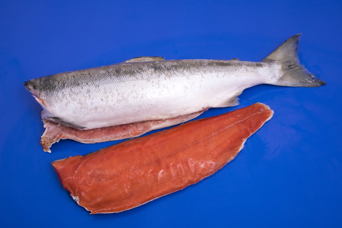 Frozen sockeye salmon headed and gutted - Agrofish Italia